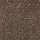 Mohawk Carpet: Soft Attraction II Rustic beam
